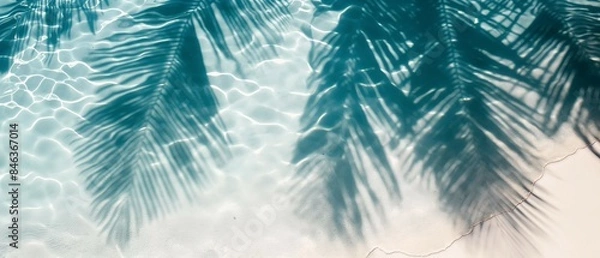 Obraz Palm tree leaf shadow abstract background on sandy beach