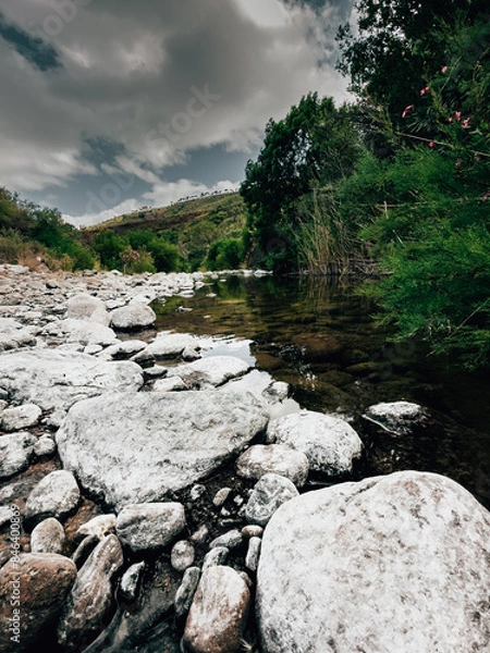 Fototapeta Curso del agua en un paraje natural