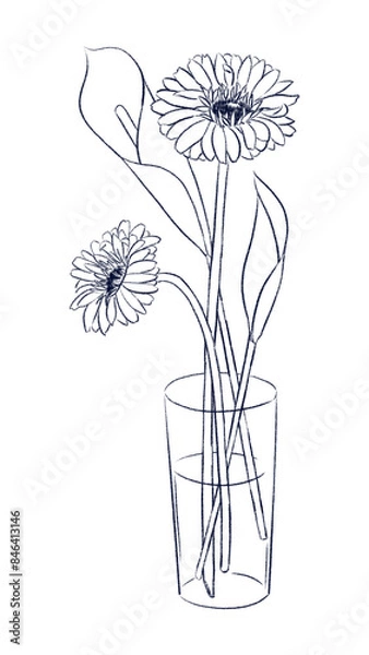 Obraz ガーベラとカラー　線画