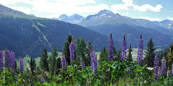 Obraz Swiss Alps in Summer