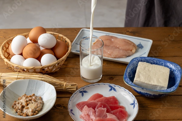 Obraz タンパク質食材イメージ