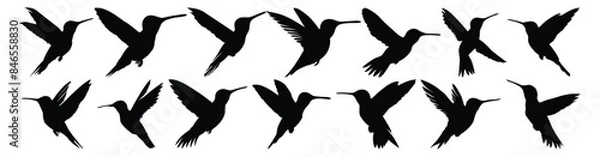 Fototapeta Hummingbird silhouette set vector design big pack of illustration and icon