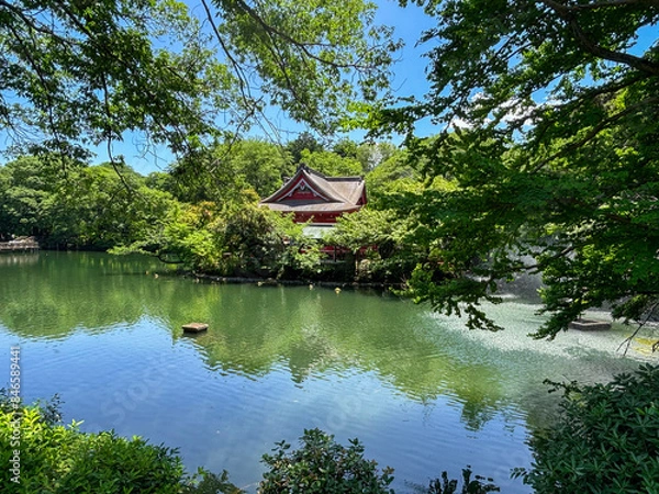 Obraz 井の頭弁財天