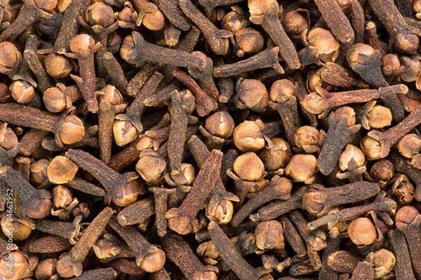 Fototapeta goździki