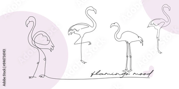 Fototapeta Flamingo design illustration, south, resort, contour line drawing.
