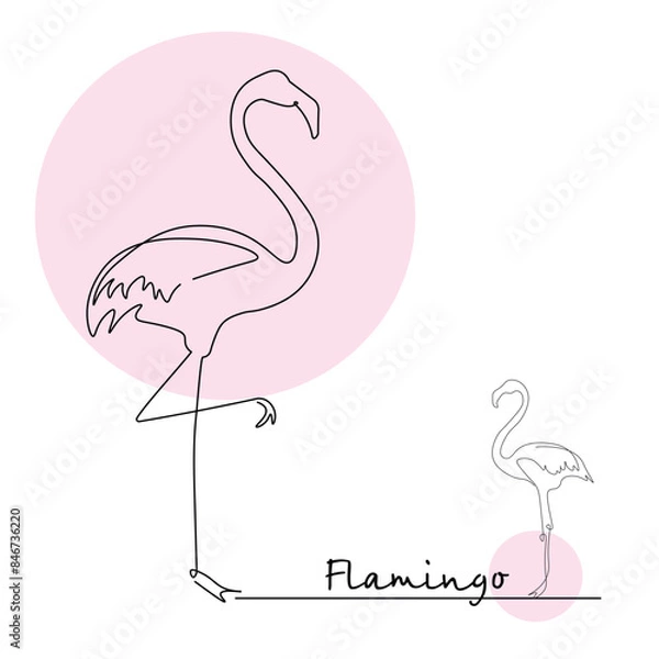Fototapeta Flamingo design illustration, south, resort, contour line drawing.