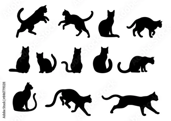 Fototapeta Vector illustration. Large set of cat silhouettes for printing. Sticker template.