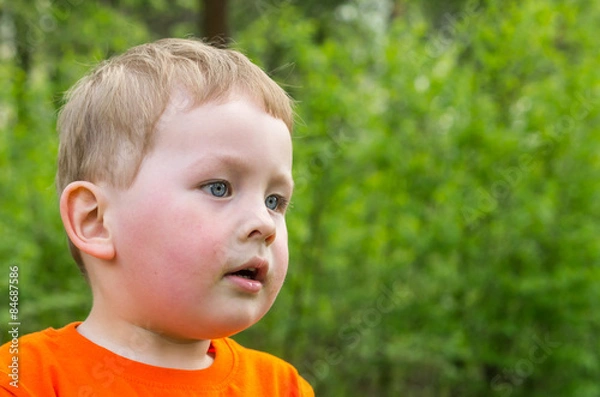 Fototapeta boy in park