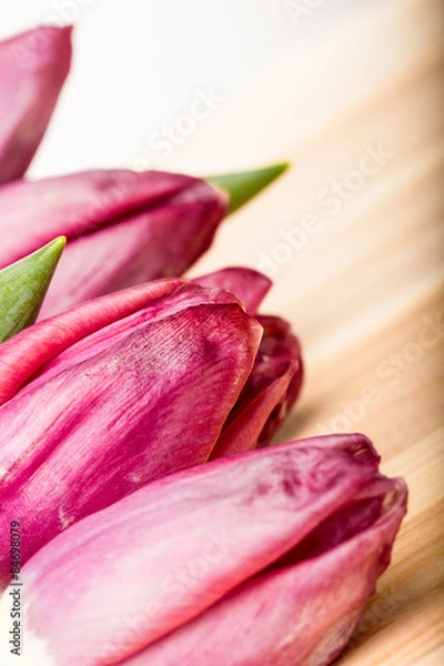 Fototapeta Pink tulips close-up.  Selective focus