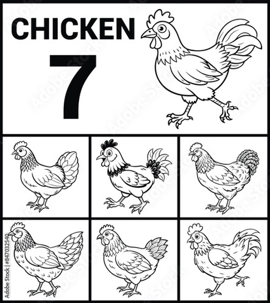 Fototapeta Chicken Outline Set Detailed Vector Illustrations on Clean White Background. Ideal for Nature Artworks.