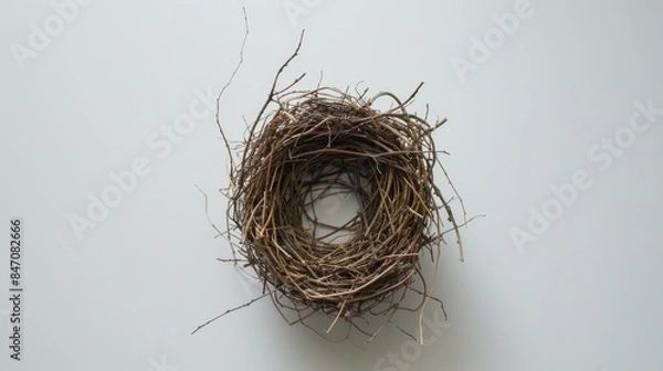 Fototapeta Aerial view of a bird s nest on a white surface