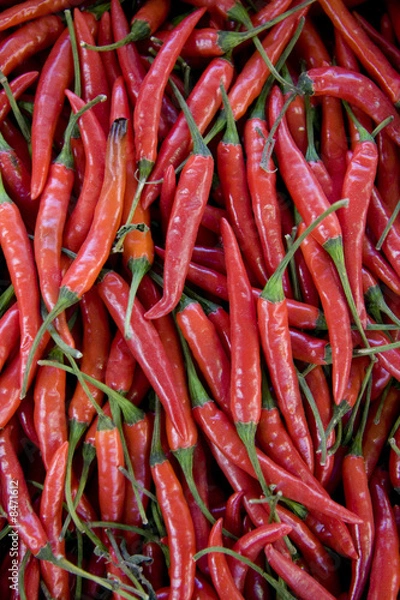 Fototapeta epices piments