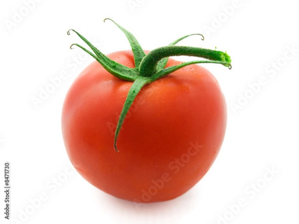 Fototapeta tomato