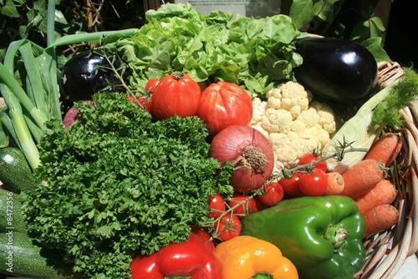 Obraz fruits & légumes