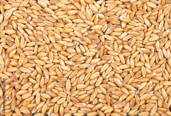 Fototapeta Dinkel Hintergrund