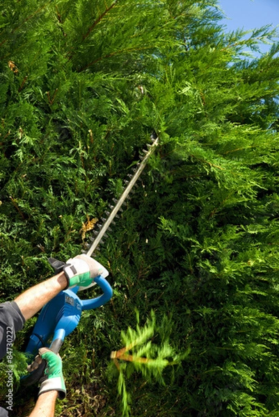 Obraz Hecke schneiden