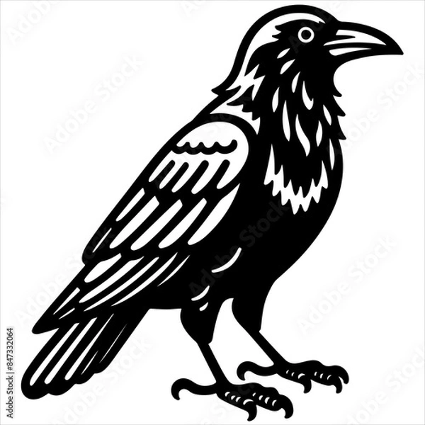Fototapeta Crow black outline illustration.