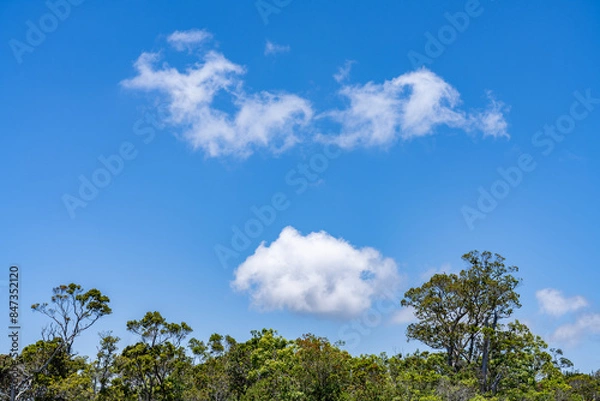 Fototapeta Kalalau Lookout, Kokee State Park Kauai Hawaii. Clouds photographed from an airplane，Cumulus clouds are clouds that have flat bases and are often described as puffy, cotton-like, or fluffy in appearan