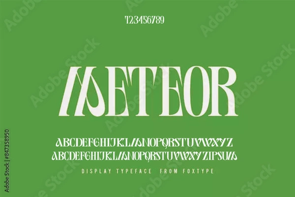 Obraz Elegant alphabet letters font and number. Classic Lettering Minimal Fashion Designs. Typography modern serif fonts decorative vintage design concept. vector illustration