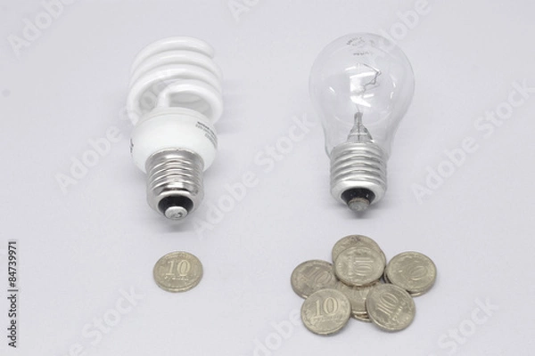 Fototapeta энергосберегающая лама, лампа накаливания