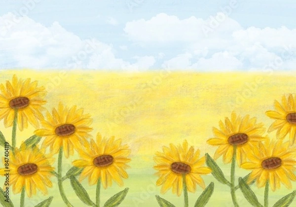Obraz sunflower in summer background 