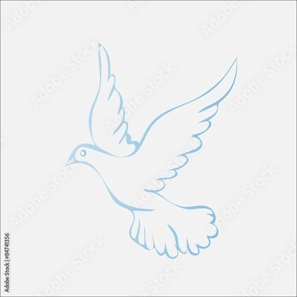 Obraz dove of peace
