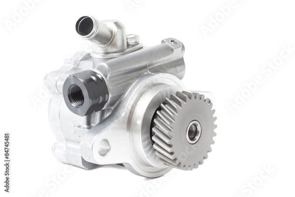 Obraz vane pump on a white background