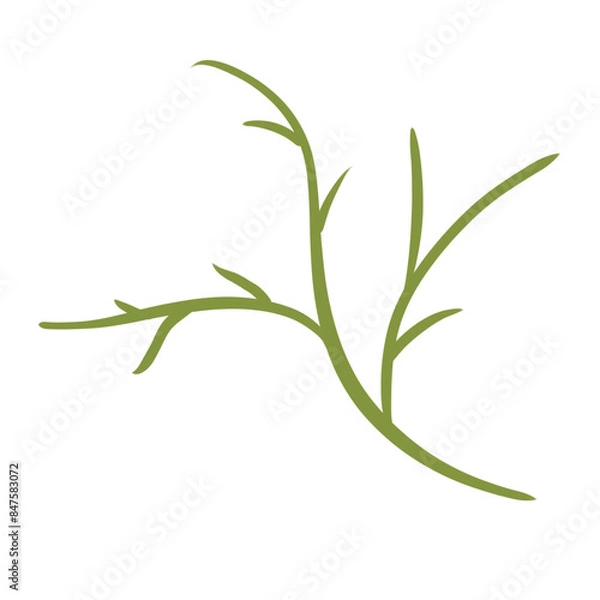 Obraz rosemary isolated on white