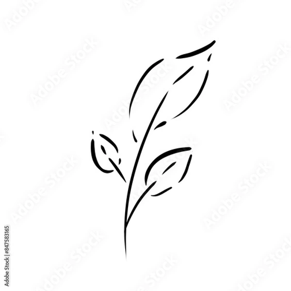 Obraz black and white design