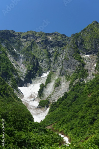 Obraz 谷川岳の新緑