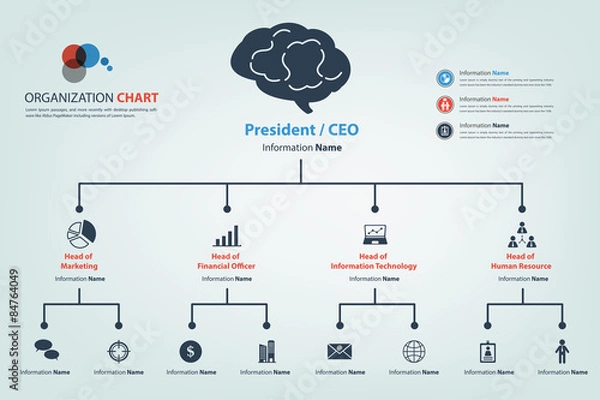 Fototapeta Modern and smart organization chart in vector style (eps10)