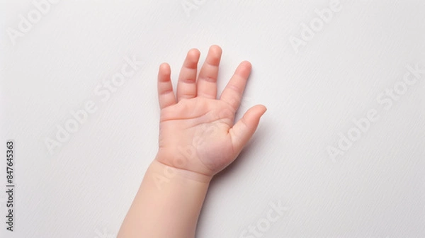 Fototapeta 赤ちゃんの小さな手