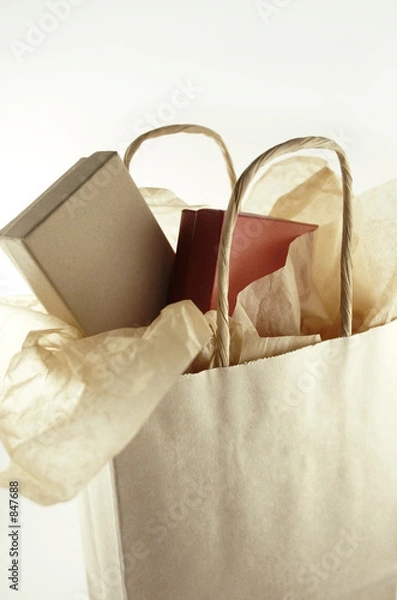 Obraz shopping bag