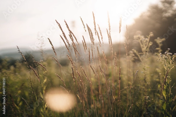 Obraz Polny krajobraz