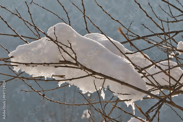 Obraz Zweig mit Schnee