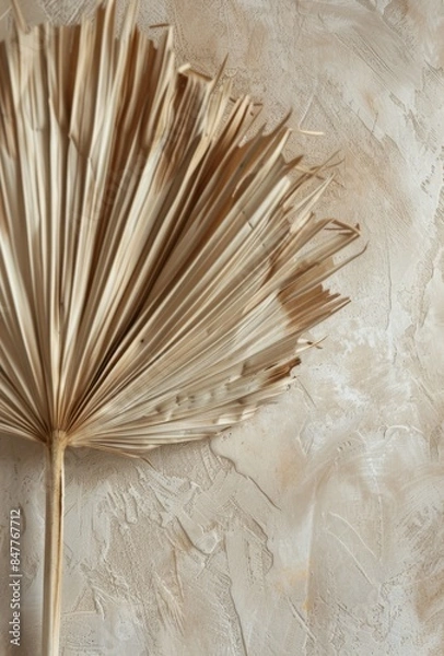 Obraz Close Up of Light Beige Palm Leaf Fan