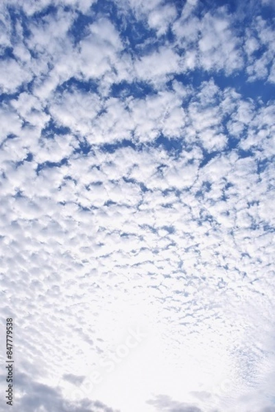 Fototapeta ひつじ雲