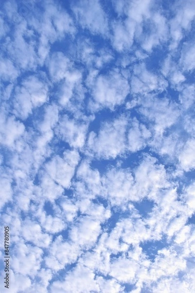 Fototapeta ひつじ雲