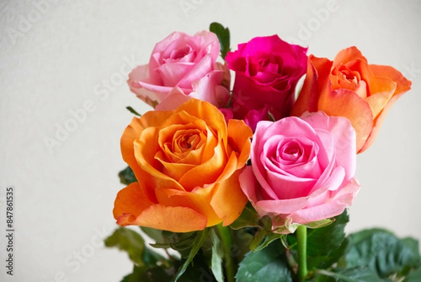 Obraz カラフルな薔薇