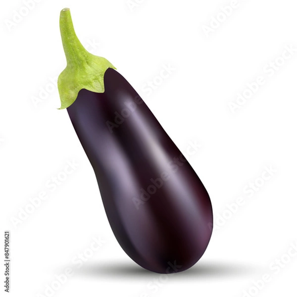 Fototapeta Vector image of eggplants on a white background.