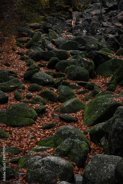 Fototapeta Ein Meer aus Steinen