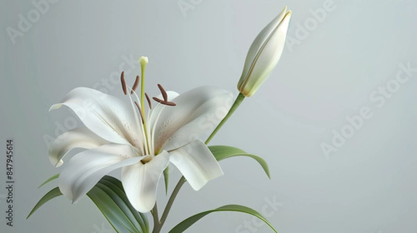 Fototapeta Close-up of yellow orange lily flower and bud against a neutral background, colorful art of ikebana