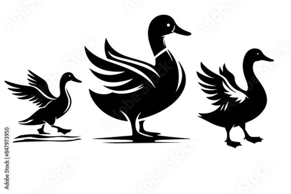 Obraz Duck Vector.ai