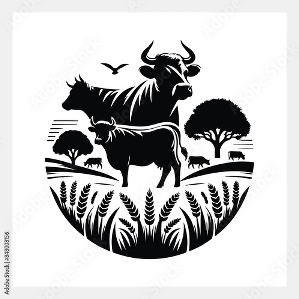 Obraz A black and white image of a bull