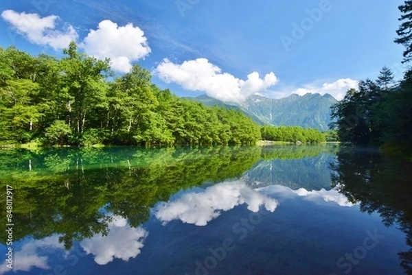 Fototapeta 上高地・大正池の夏景色