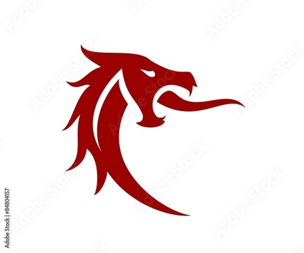 Fototapeta Dragon Head