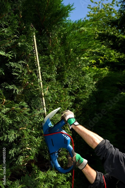 Obraz Hecke schneiden 