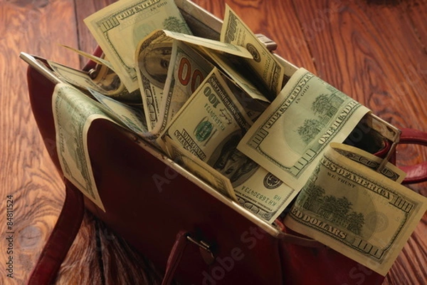 Obraz Bag with dollars