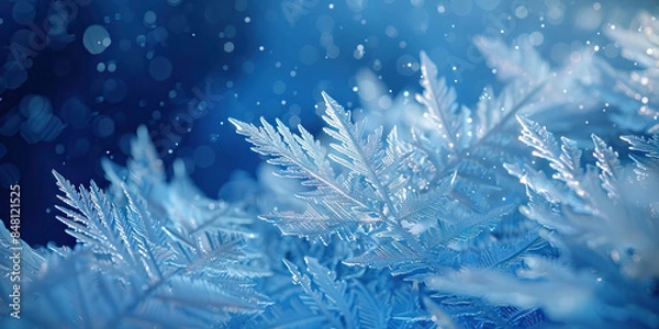 Fototapeta Frozen Frost: Close-Up of Icy and Textured Frost Formation in Winter Wonderland.