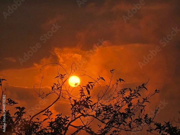 Fototapeta Beautiful shot of the moon at sunset framed with tree leaves. 
